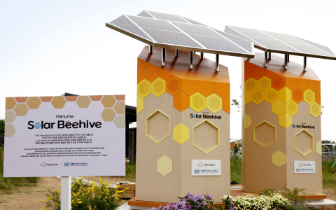 太陽光発電型の低炭素養蜂箱を設置